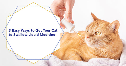 3 Easy Ways to Get Your Cat to Swallow Liquid Medicine