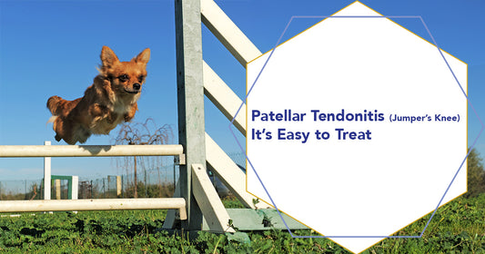 Patellar Tendonitis Jumper’s Knee It’s Easy to Treat