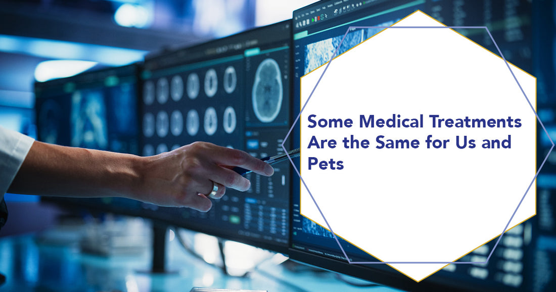 Some Medical Treatments Are the Same for Humans and Pets