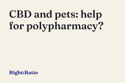 CBD and pets: help for polypharmacy?