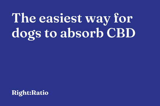 The easiest way for dogs to absorb CBD