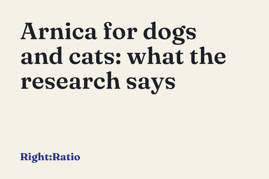 Arnica for dogs and cats: what the research says