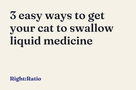 3 easy ways to get your cat to swallow liquid medicine
