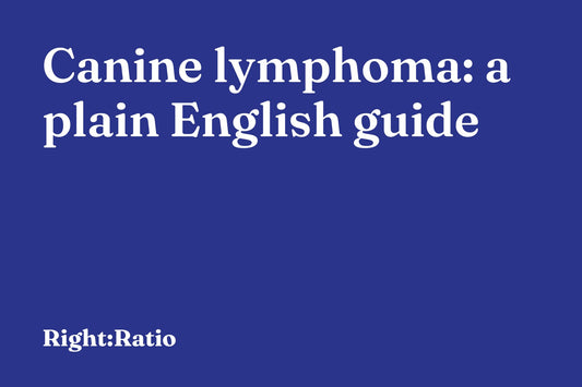 Canine lymphoma: a plain English guide