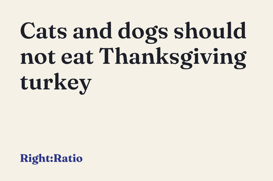 Cats and dogs should not eat Thanksgiving turkey