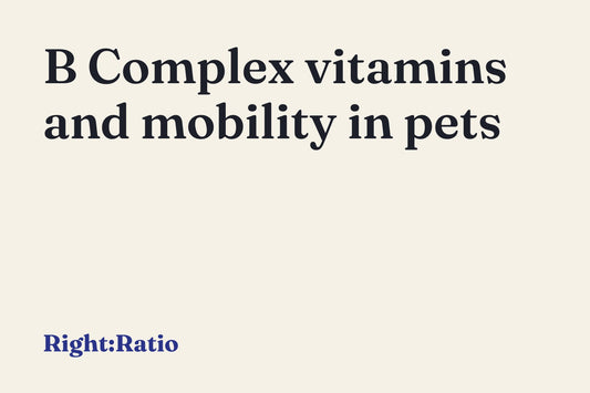B Complex vitamins and mobility in pets