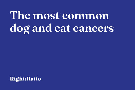The most common dog and cat cancers