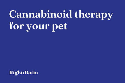 Cannabinoid therapy for your pet