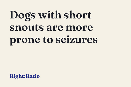 Dogs with short snouts are more prone to seizures