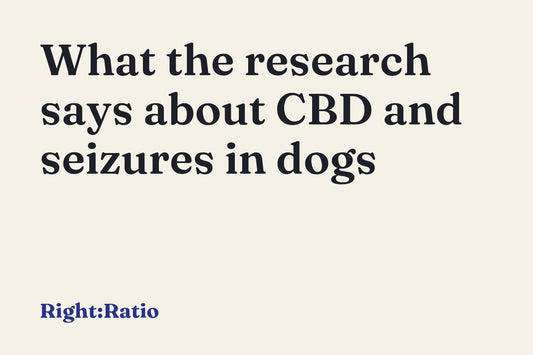 What the research says about CBD and seizures in dogs