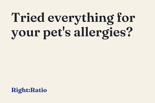 Tried everything for your pet's allergies?