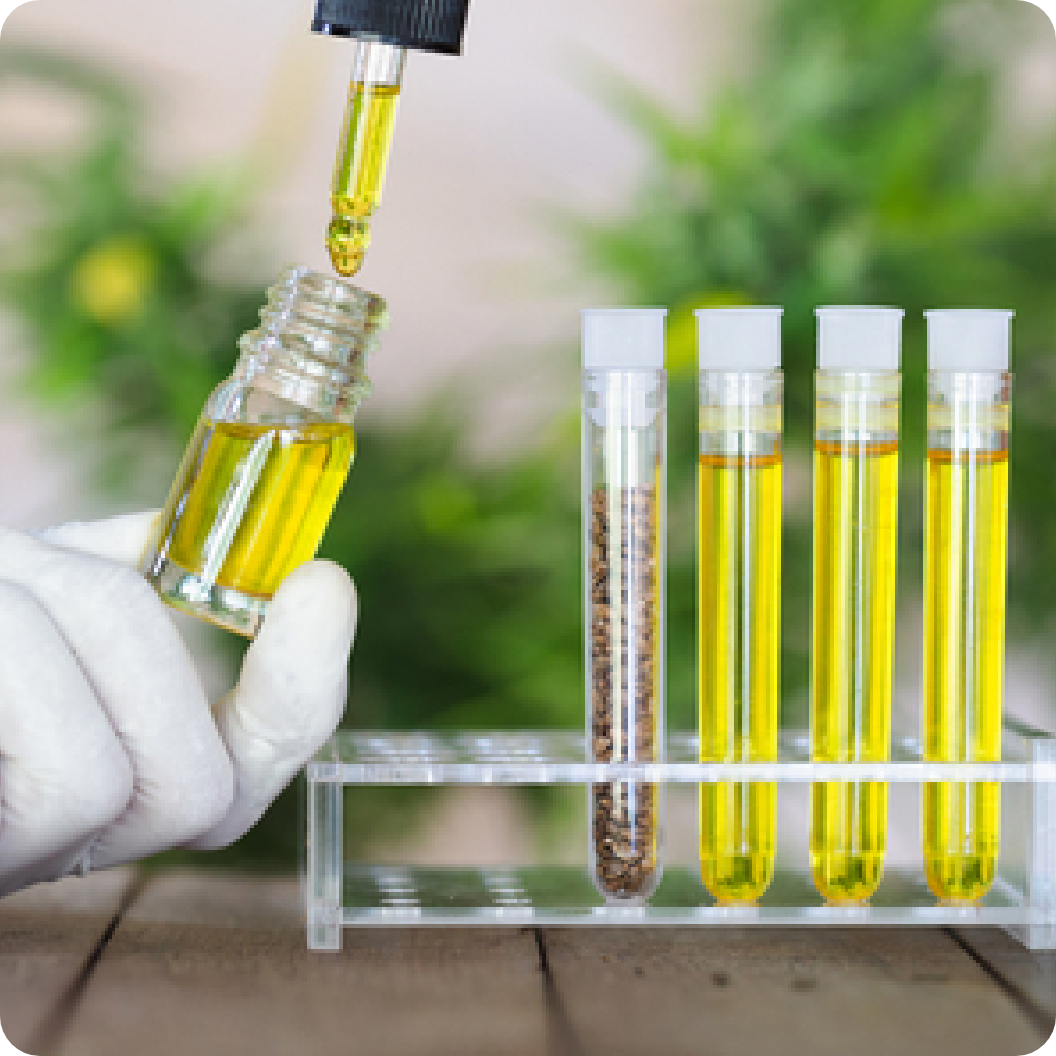 Whole Plant Therapeutics Explained
