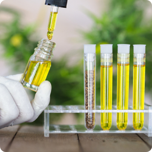 Whole Plant Therapeutics Explained