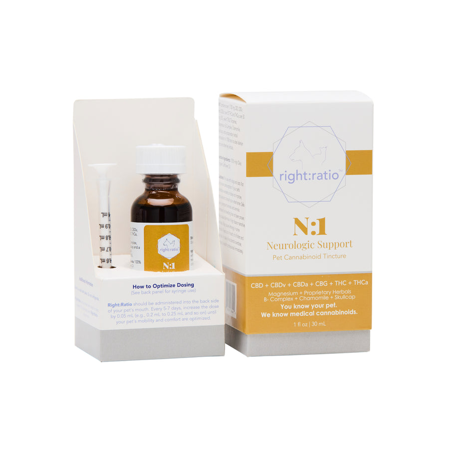 N:1 | Neurologic Support