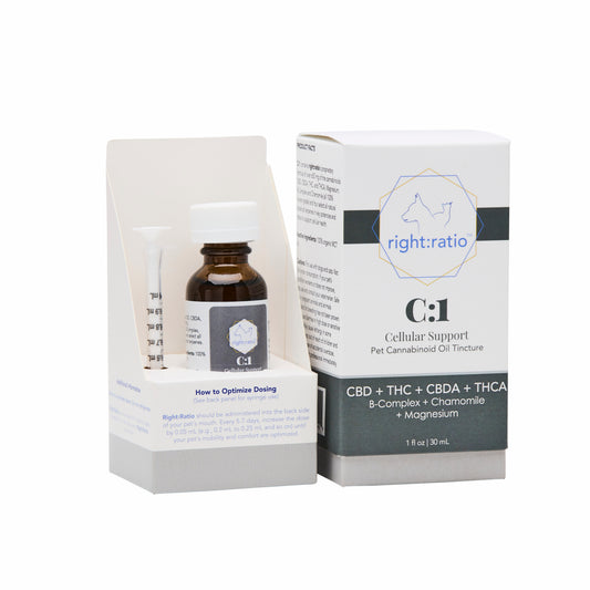 C:1 | Cellular Support