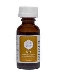 N:1 | Neurologic Support