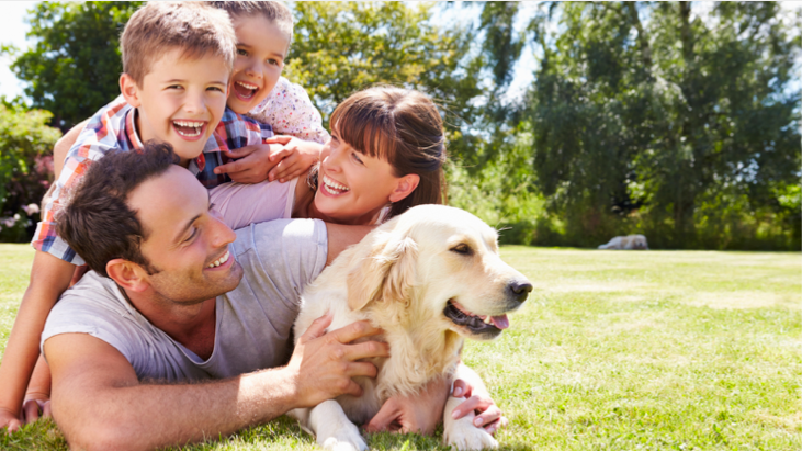 family with pets banner